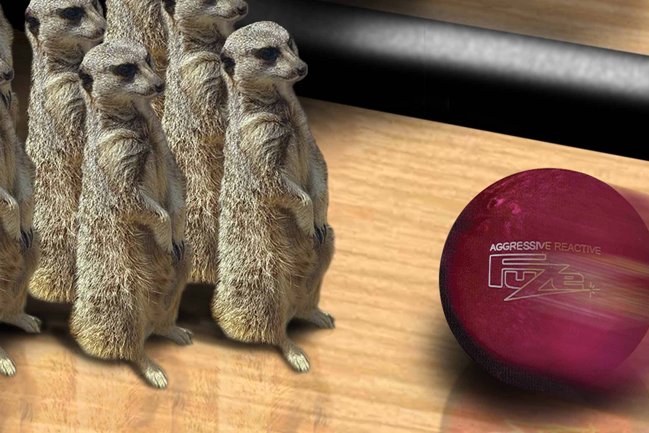 Photoshop Design by hektor for DesignCrowd (Community Contests) | Design #9141137