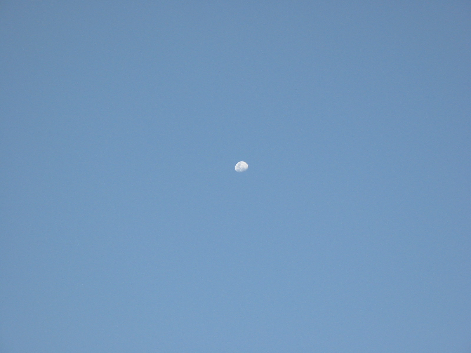 Fotografie von emandan für DesignCrowd (Community Contests) | Design #9123727