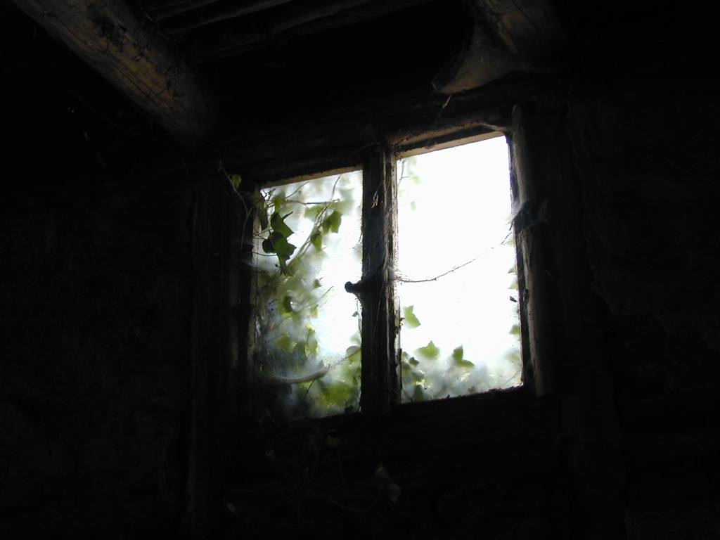 Photography by TyChO for DesignCrowd (Community Contests) | Design #9123993