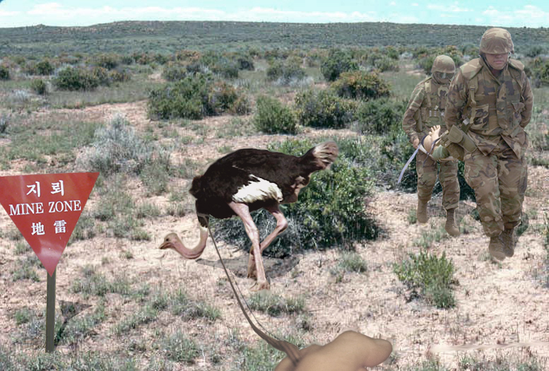 Photoshop Design by Stephie for DesignCrowd (Community Contests) | Design #9141169