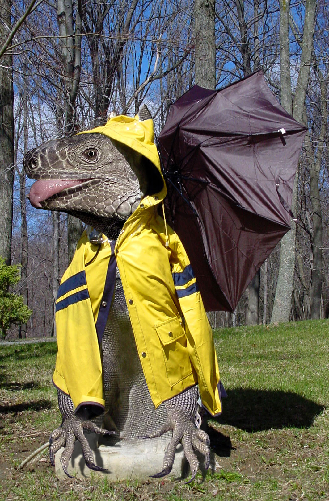 Design Photoshop par Dunga2_BANNED pour DesignCrowd (Community Contests) | Design #9136579