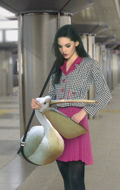 Photoshop Design by ejay for DesignCrowd (Community Contests) | Design #9141173