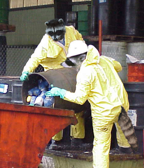 Photoshop Design by digsRus for DesignCrowd (Community Contests) | Design #9141229