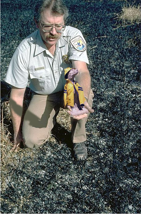 Photoshop Design by TBob57 for DesignCrowd (Community Contests) | Design #9136597