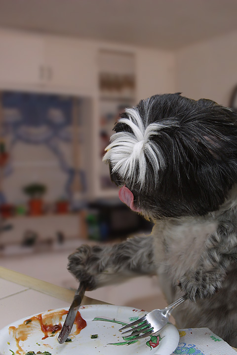 Photoshop Design by MitchPix for DesignCrowd (Community Contests) | Design #9141225