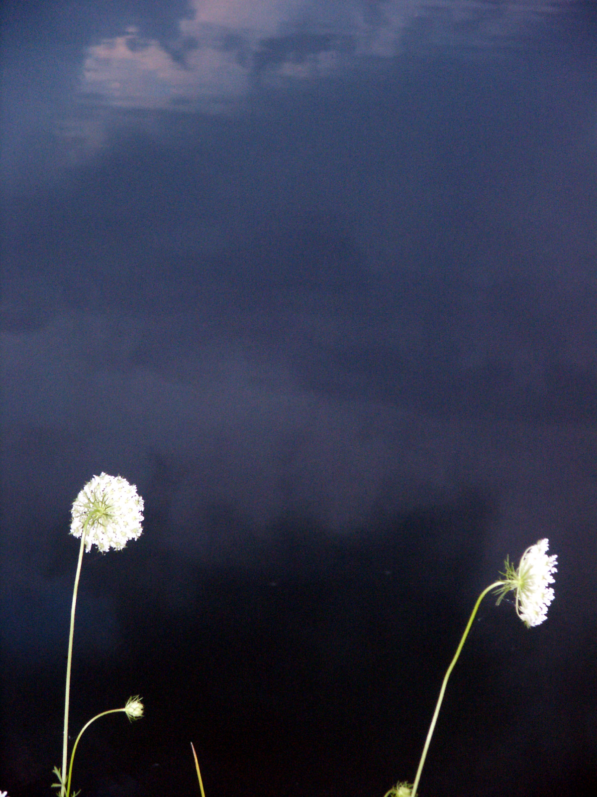 Photographie par copierguy43215 pour DesignCrowd (Community Contests) | Design #9123741