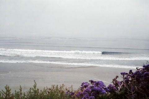 Photographie par dnowhat pour DesignCrowd (Community Contests) | Design #9123732