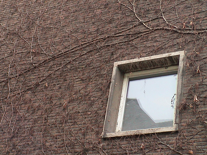 Photography by Pinhead for DesignCrowd (Community Contests) | Design #9123749