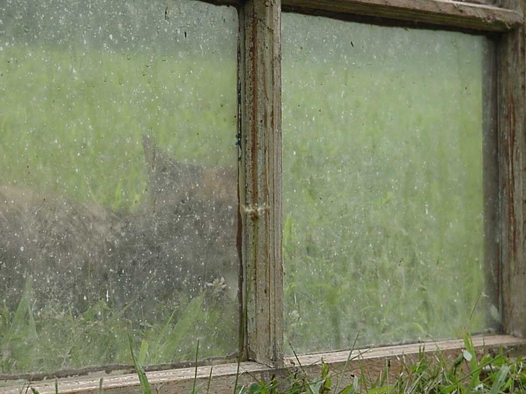 Photography by Stimpy for DesignCrowd (Community Contests) | Design #9124015