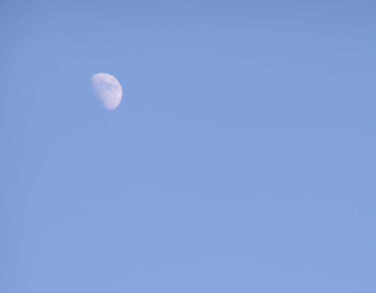 Photography by spfstr for DesignCrowd (Community Contests) | Design #9123856