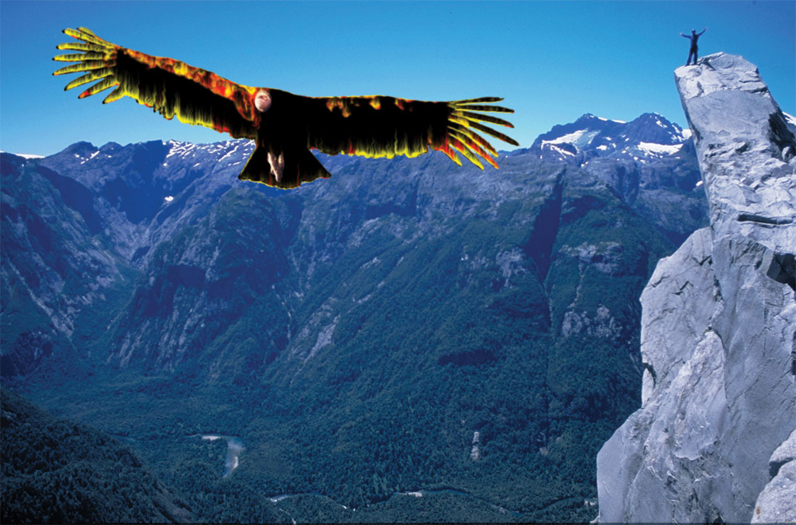 Diseño de Photoshop por RealMeert para DesignCrowd (Community Contests) | Diseño #9141099