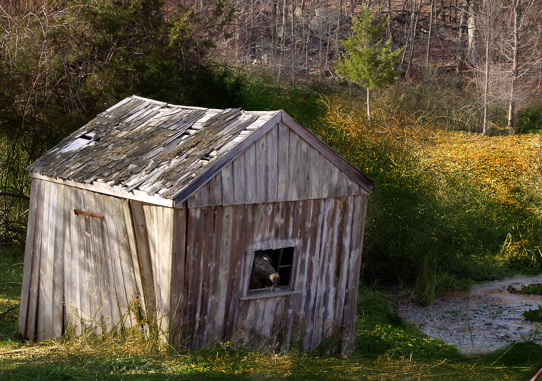 Design Photoshop par bigbucho pour DesignCrowd (Community Contests) | Design #9134624