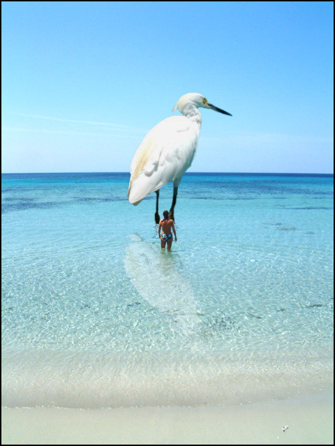 Photoshop Design by TBob57 for DesignCrowd (Community Contests) | Design #9121540