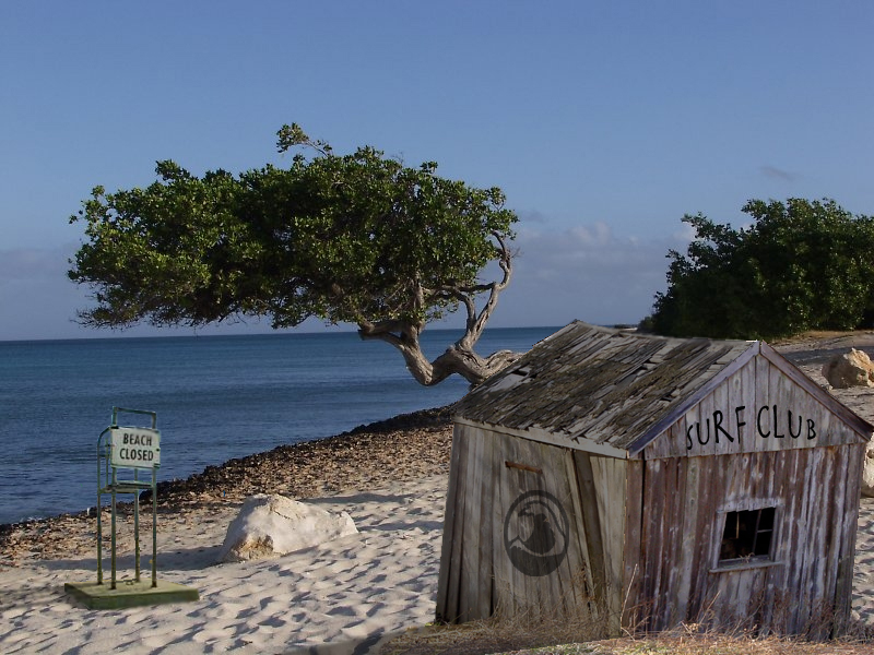 Photoshop Design by Dashovish for DesignCrowd (Community Contests) | Design #9134625