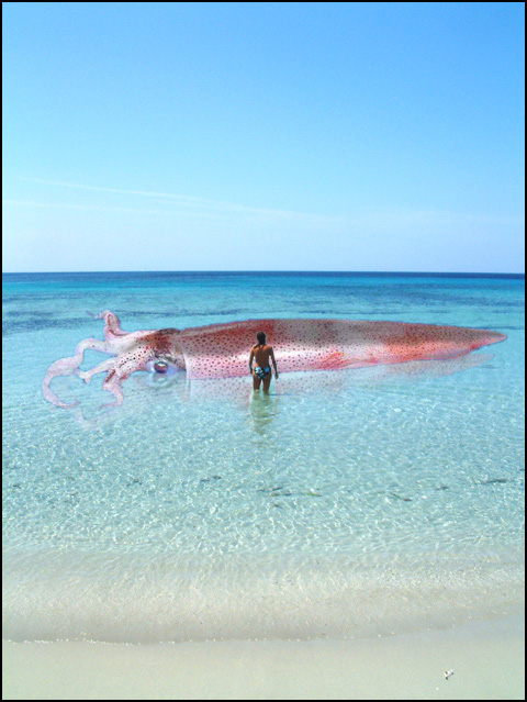 Diseño de Photoshop por RealMeert para DesignCrowd (Community Contests) | Diseño #9121550