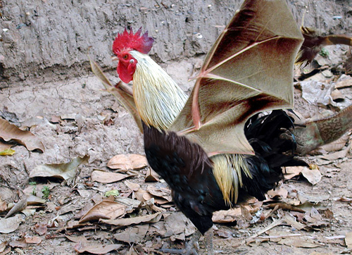 Diseño de Photoshop por frankule para DesignCrowd (Community Contests) | Diseño #9141185