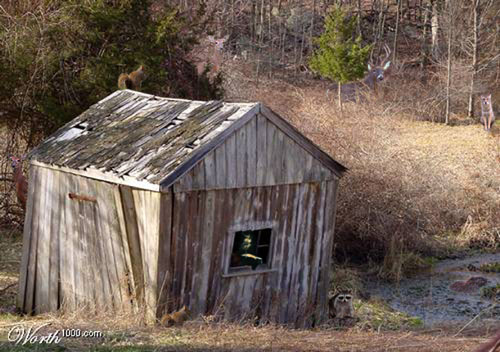 Diseño de Photoshop por LeMolstad para DesignCrowd (Community Contests) | Diseño #9134648