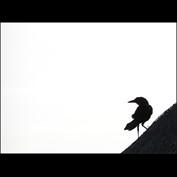 Photography by Tommy1de