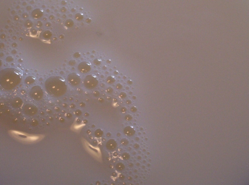 Photography by Spook for DesignCrowd (Community Contests) | Design #9123824