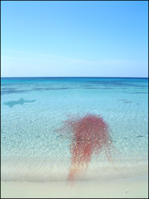 Diseño de Photoshop por iDadalex para DesignCrowd (Community Contests) | Diseño #9121605