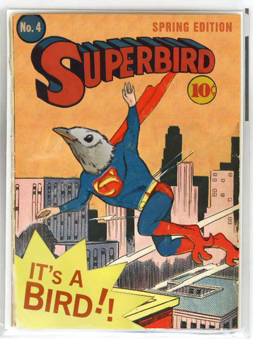 Design Photoshop par JinxRLM pour DesignCrowd (Community Contests) | Design #9123780