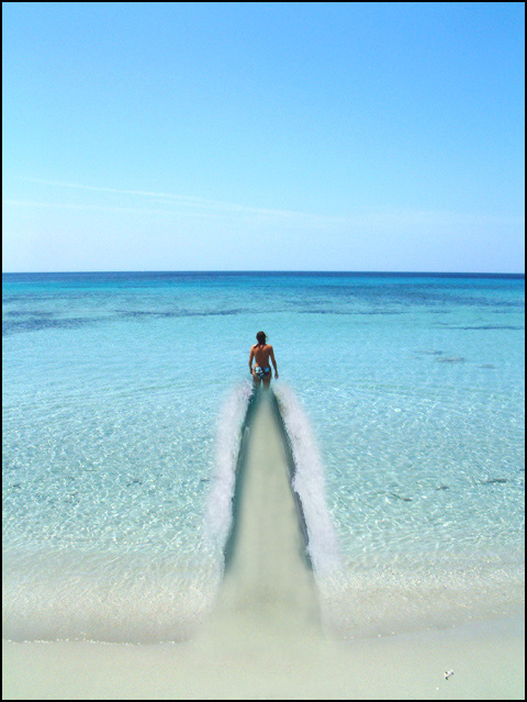 Photoshop Design by Shawk for DesignCrowd (Community Contests) | Design #9121606