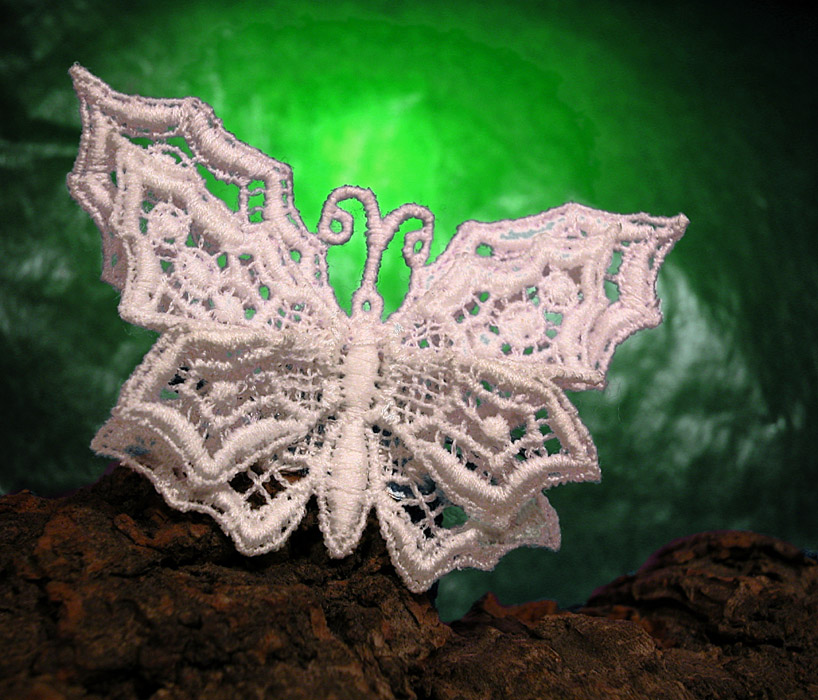 Photography by branie for DesignCrowd (Community Contests) | Design #9136511