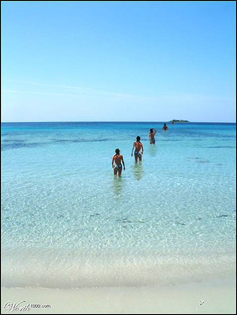 Diseño de Photoshop por mattedesa para DesignCrowd (Community Contests) | Diseño #9121665