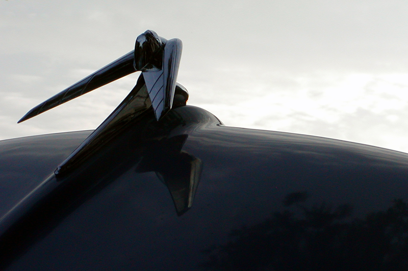 Fotografía por OneHappyFemale para DesignCrowd (Community Contests) | Diseño #9123798