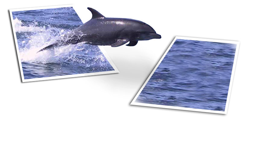 Photoshop Design by DrChubb for DesignCrowd (Community Contests) | Design #9137742