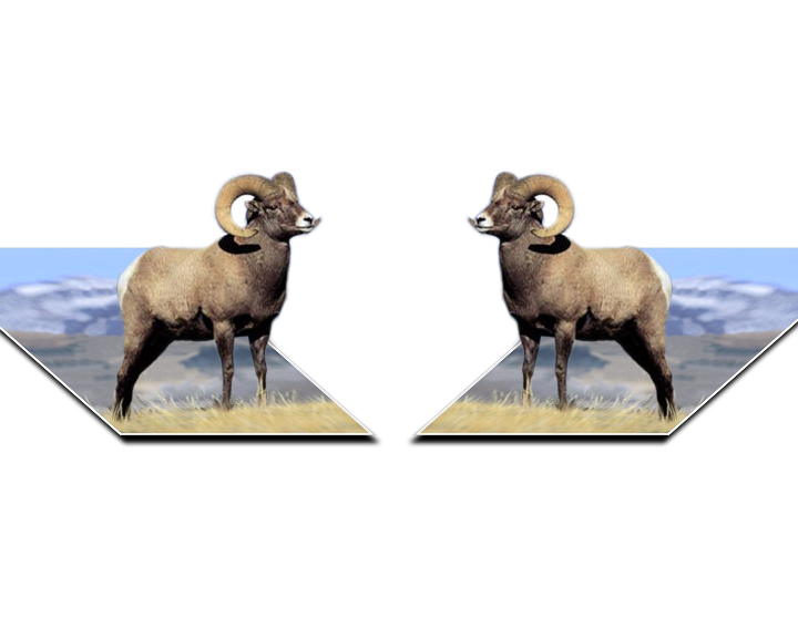 Photoshop Design by kintaru for DesignCrowd (Community Contests) | Design #9137755