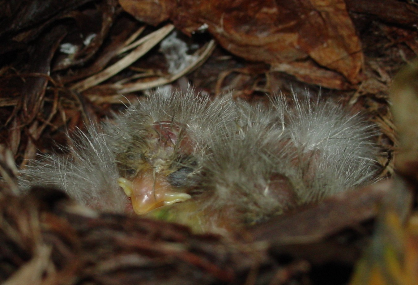 Photography by yusaku for DesignCrowd (Community Contests) | Design #9136587