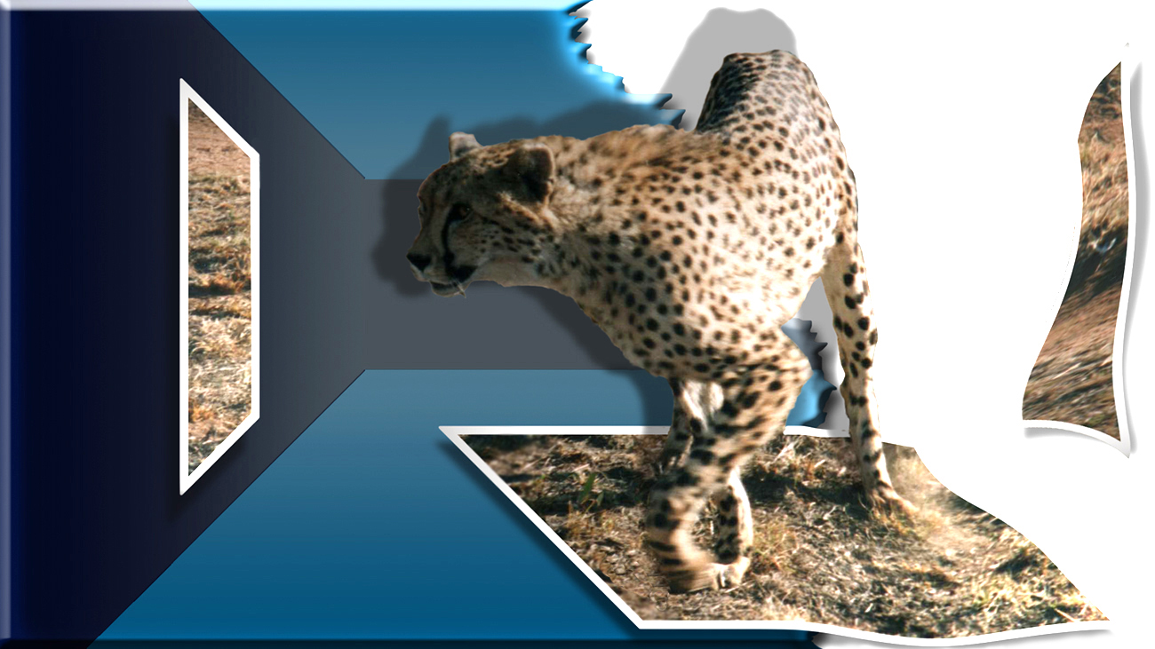 Photoshop-Design von Dr_Jones für DesignCrowd (Community Contests) | Design #9137913