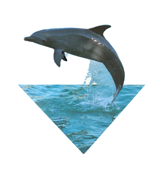 Photoshop Design by Wingnut for DesignCrowd (Community Contests) | Design #9137832