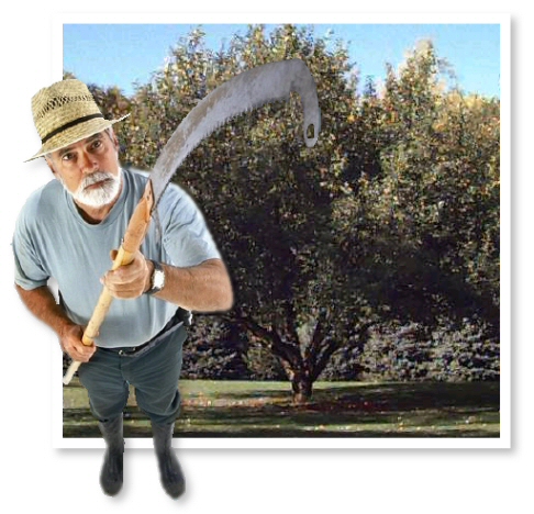 Diseño de Photoshop por scottyd para DesignCrowd (Community Contests) | Diseño #9137863