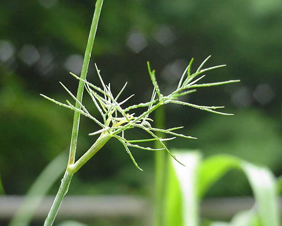 Photography by Stimpy for DesignCrowd (Community Contests) | Design #9136570