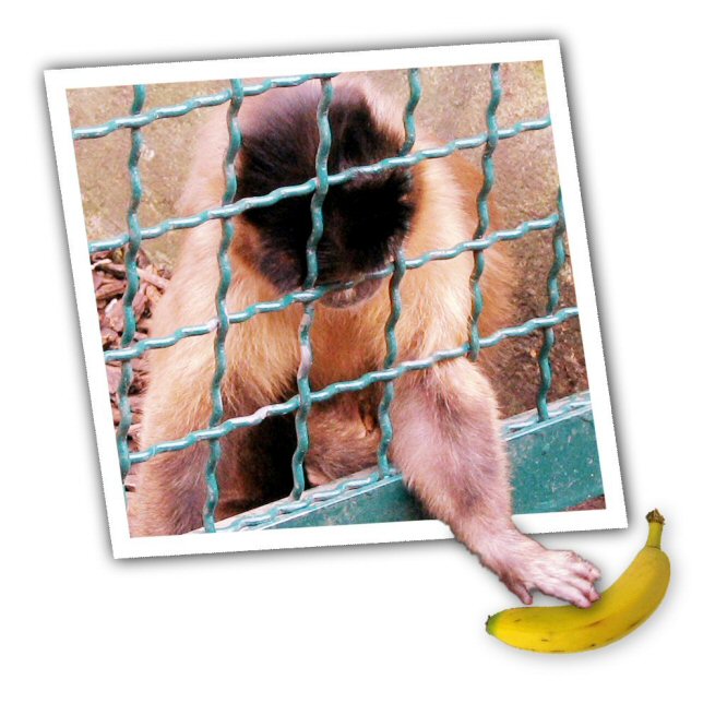 Photoshop Design by drusso for DesignCrowd (Community Contests) | Design #9137889