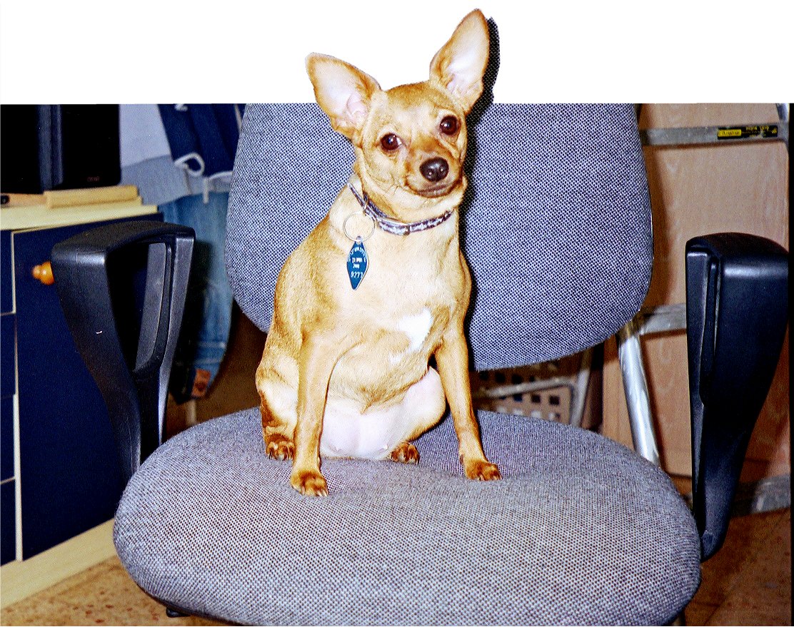 Photoshop Design by hezyamiel for DesignCrowd (Community Contests) | Design #9137909