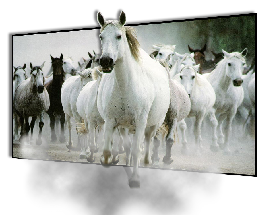 Photoshop Design by Buurman for DesignCrowd (Community Contests) | Design #9137848