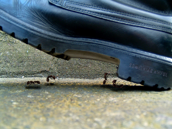 Photoshop Design by spacemountain for DesignCrowd (Community Contests) | Design #9137112