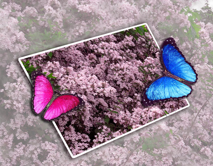 Photoshop Design by LeMolstad for DesignCrowd (Community Contests) | Design #9137960