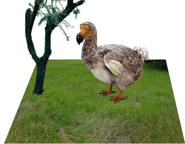 Photoshop Design by MrsLion for DesignCrowd (Community Contests) | Design #9137975