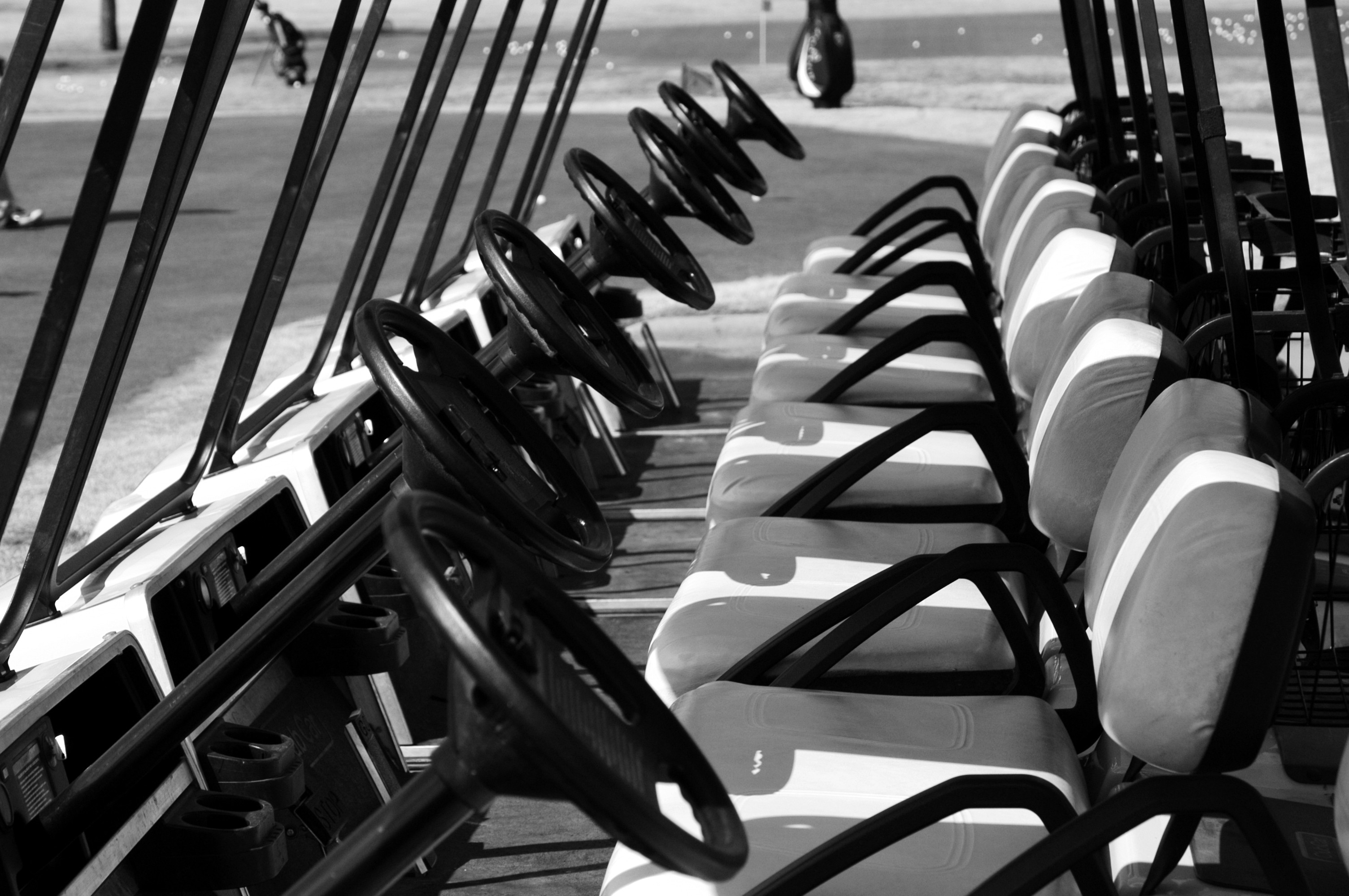 Photographie par Silverkatt pour DesignCrowd (Community Contests) | Design #9142478