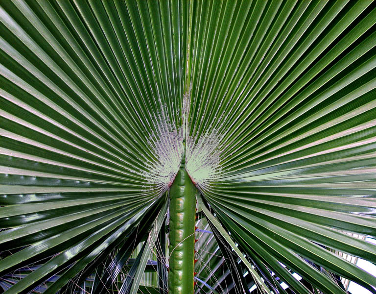 Photography by branie for DesignCrowd (Community Contests) | Design #9142528