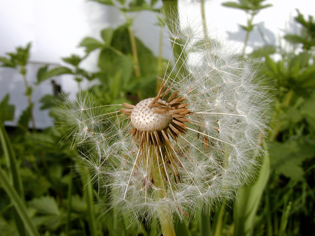 Photography by msleading for DesignCrowd (Community Contests) | Design #9136705