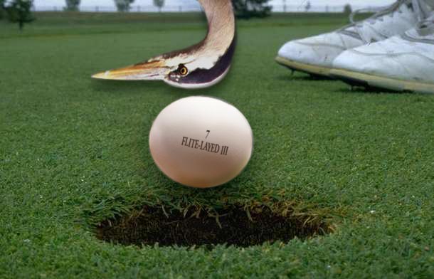 Diseño de Photoshop por uk2usadaz para DesignCrowd (Community Contests) | Diseño #9139569