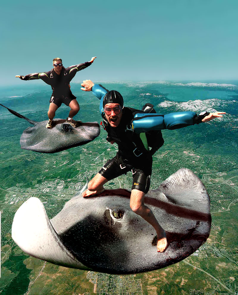 Photoshop Design by Puffnasty for DesignCrowd (Community Contests) | Design #9139553