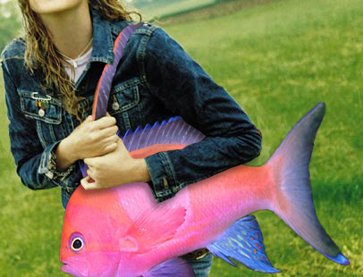 Photoshop Design by Redstar for DesignCrowd (Community Contests) | Design #9121979