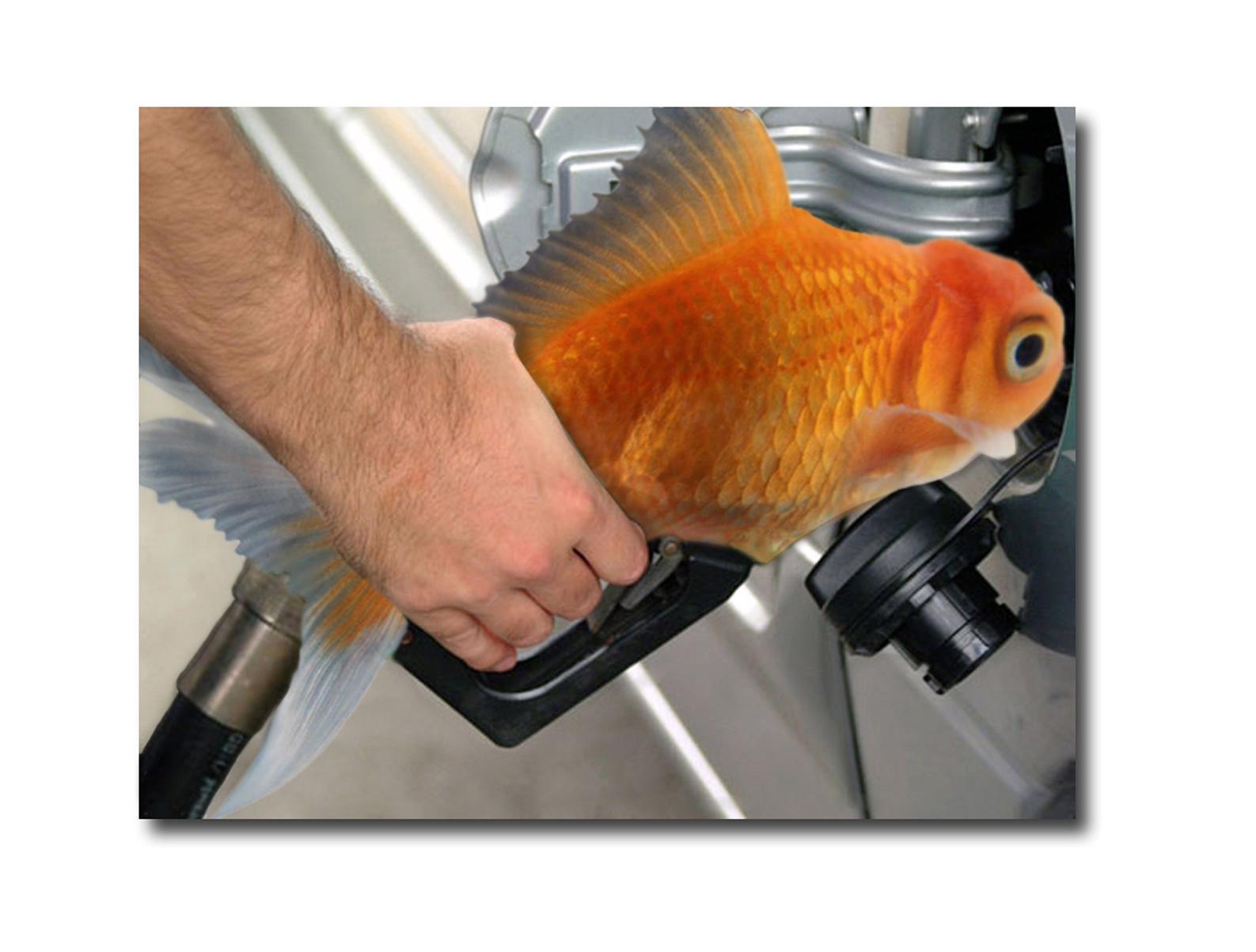 Design Photoshop par SkyEWR pour DesignCrowd (Community Contests) | Design #9121995