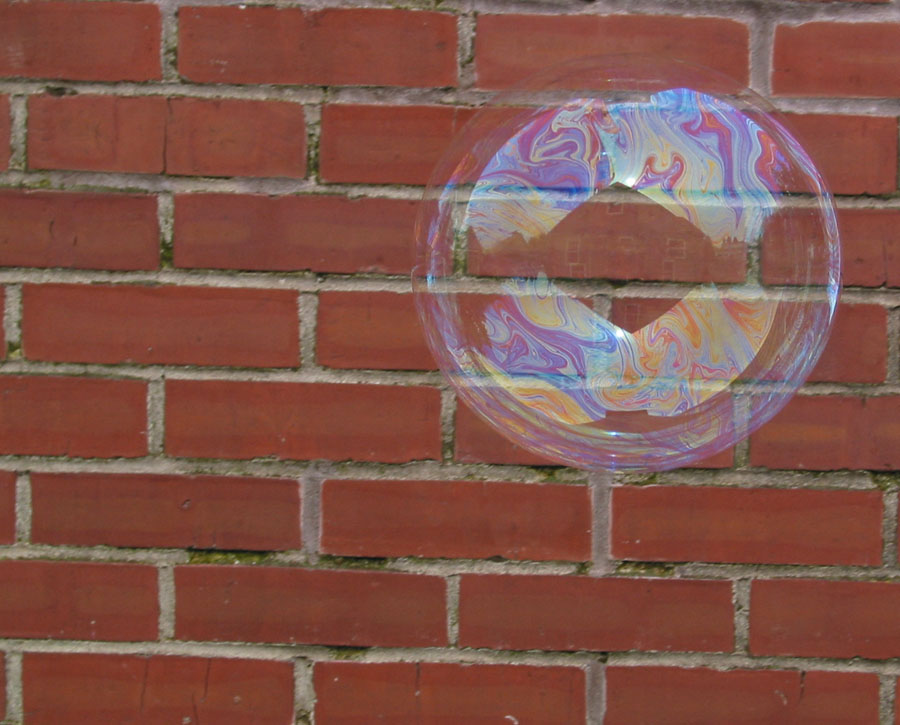 Photography by Gene_Yuss for DesignCrowd (Community Contests) | Design #9136629